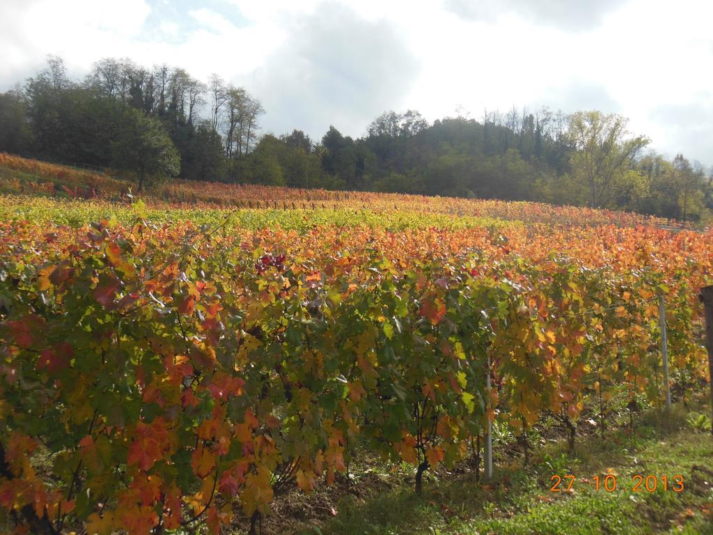 Agriturismo Cascina Tollu San Giacomo  Eksteriør billede