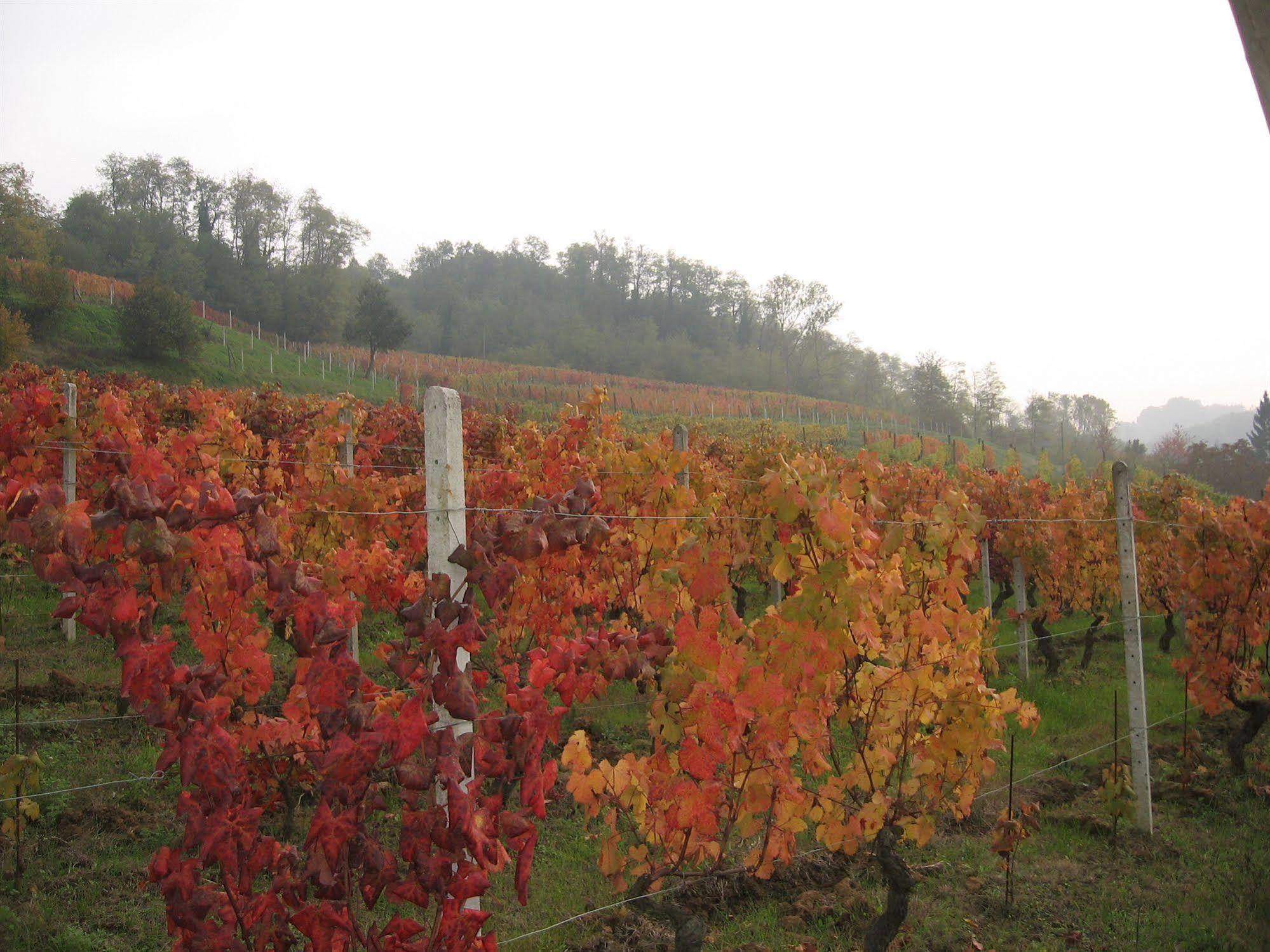 Agriturismo Cascina Tollu San Giacomo  Eksteriør billede